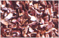 Peanuts supplier,Ground nuts supplier,Ground nuts exporter,Peanuts exporter,Dehydrated onion,Wheat exporter,Indian wheat exporter,Processed raw cotton,Cotton bells exporter,Cotton bells supplier,Cotton bells india,Indian raw cotton,Cotton bells exporter india,Peanuts exporter india,Ground nuts exporter india,Round nuts exporter,Peanuts india