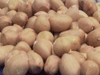Peanuts supplier,Ground nuts supplier,Ground nuts exporter,Peanuts exporter,Dehydrated onion,Wheat exporter,Indian wheat exporter,Processed raw cotton,Cotton bells exporter,Cotton bells supplier,Cotton bells india,Indian raw cotton,Cotton bells exporter india,Peanuts exporter india,Ground nuts exporter india,Round nuts exporter,Peanuts india
